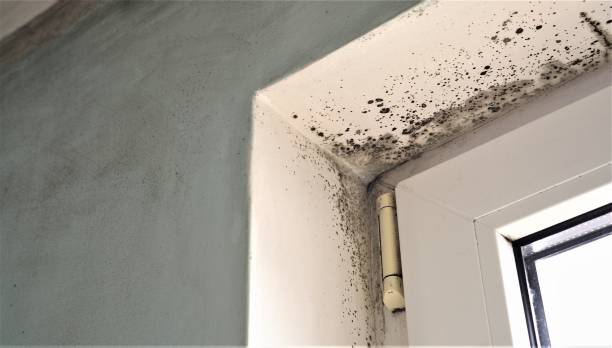 Best Indoor Air Quality Assessment  in Happy Valley, CA