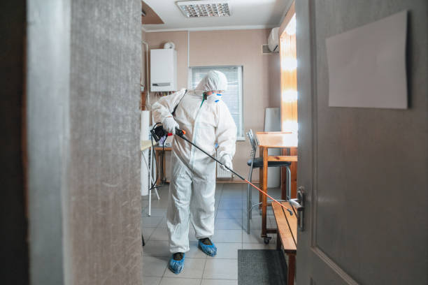 Best Residential Mold Inspection & Testing  in Happy Valley, CA