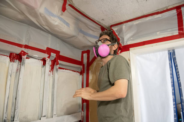 Asbestos and Lead Testing During Mold Inspection in Happy Valley, CA