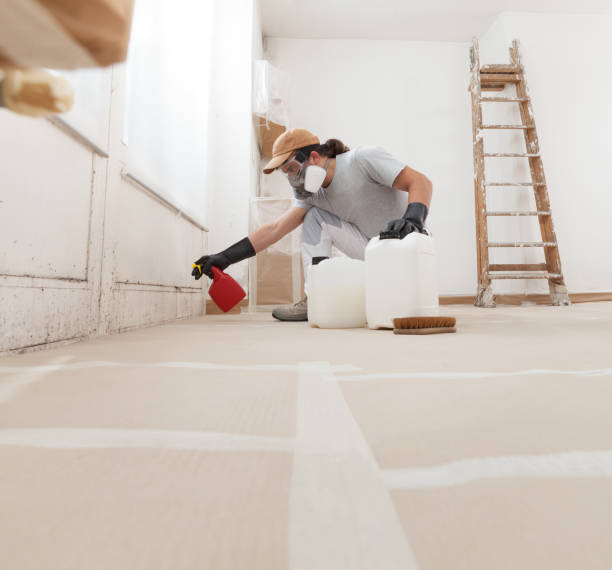 Best Comprehensive Air Testing for Mold Contaminants  in Happy Valley, CA